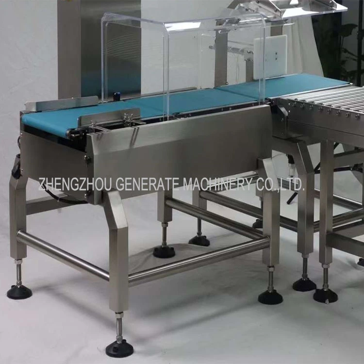 Transportador de correia reta de grau alimentar