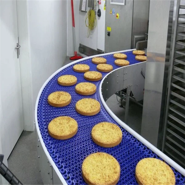 plastic modular belt converyor25 plastic modular belt converyor25